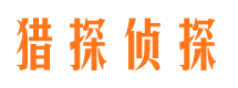 东河市侦探调查公司